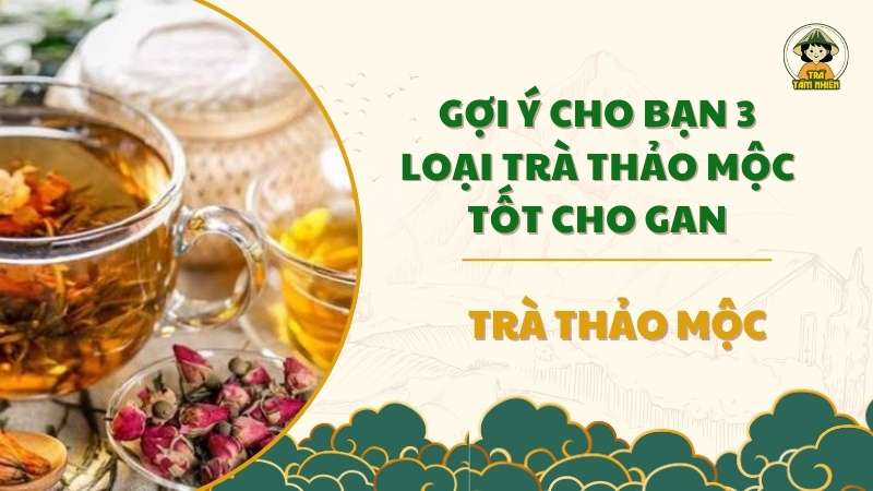 trà thảo mộc tốt cho gan