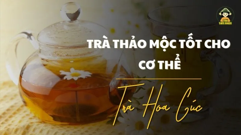 Top 5 Công Thức Trà Thảo Mộc