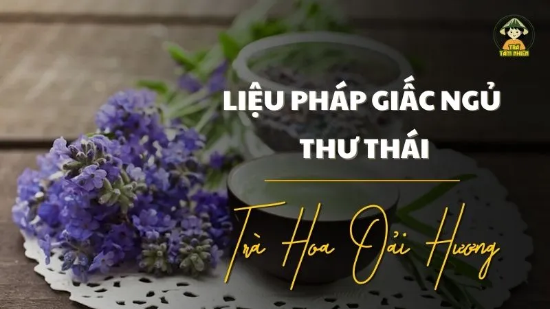 Trà Hoa Oải Hương Tâm Nhiên