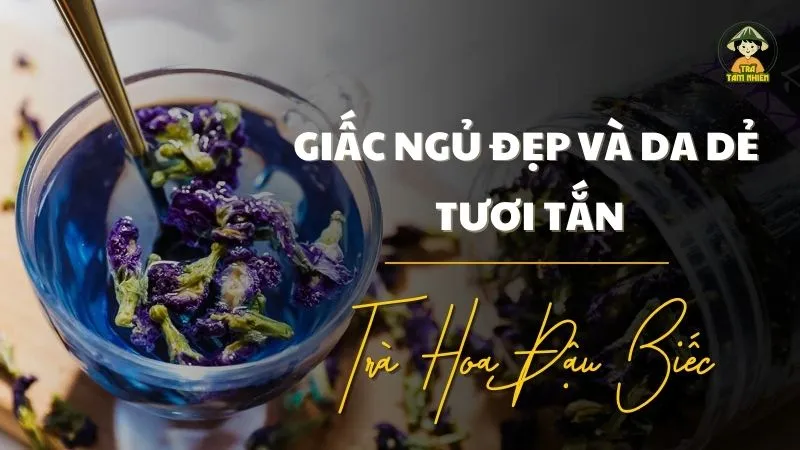 Trà Hoa Đậu Biếc Tâm Nhiên