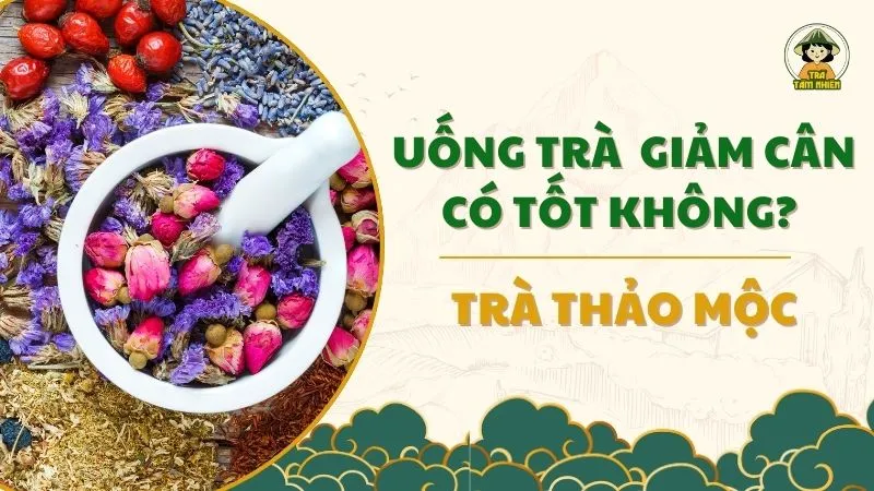 Uống trà thảo mộc giảm cân có tốt không