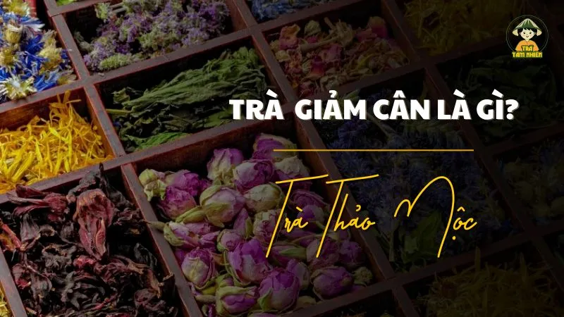 Trà thảo mộc giảm cân là gi