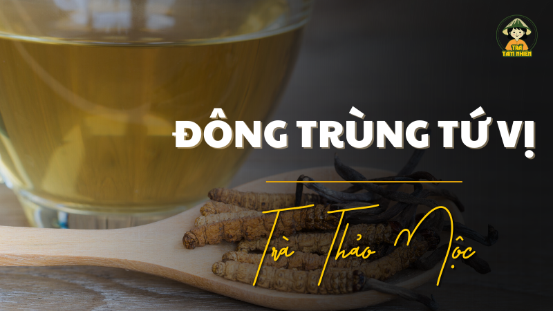 Trà đông trùng tứ vị