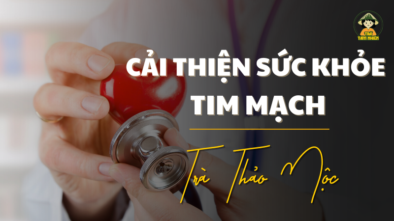 cai-thien-tim-mach