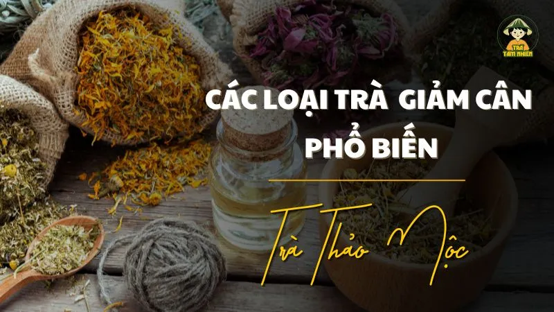 Các loại trà thảo mộc giảm cân phổ biến