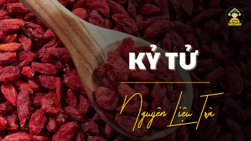 ky-tu