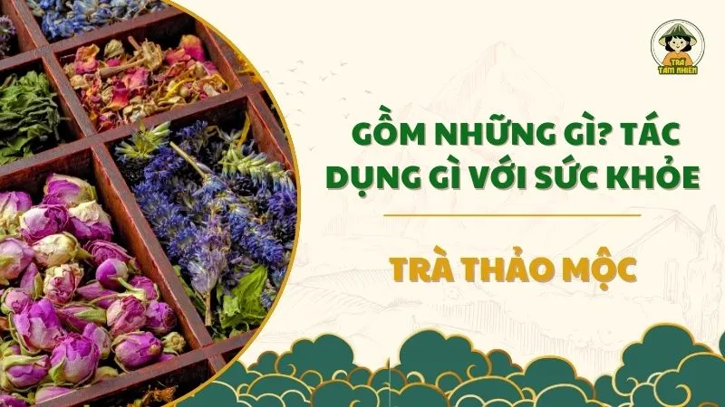 Trà thảo mộc gồm những gì tác dụng gì với sức khỏe