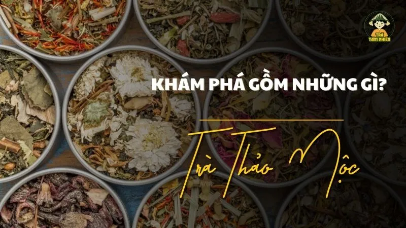 Khám phá trà thảo mộc gồm những gì