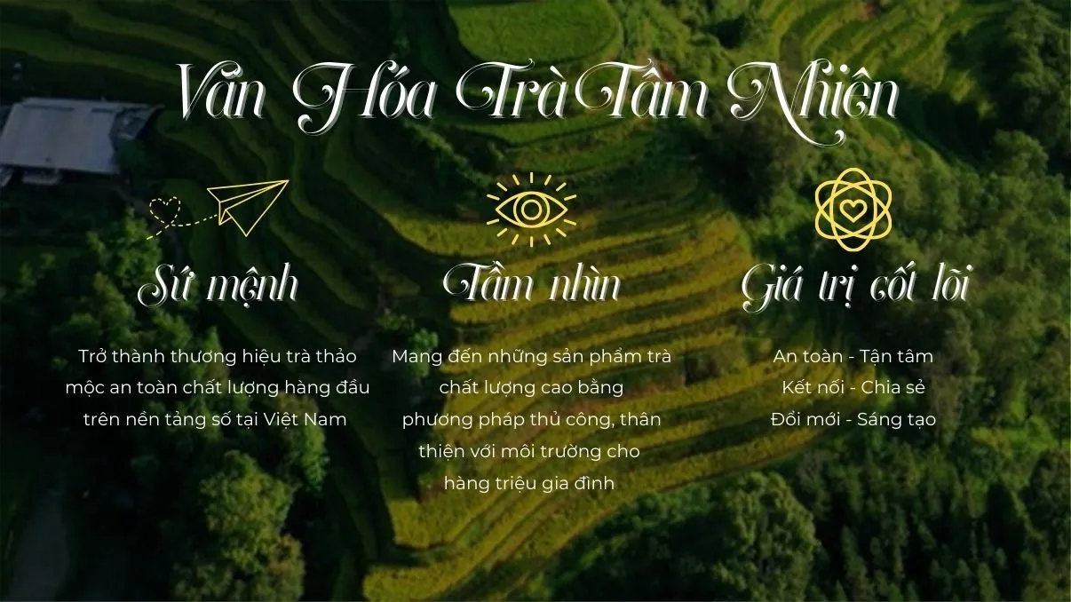 Ảnh về chúng tôi 5