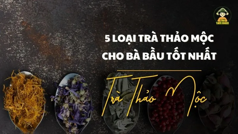 5 loại trà thảo mộc cho bà bầu tốt nhất 