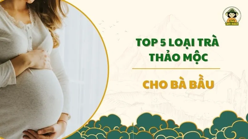 5 loại trà thảo mộc cho bà bầu tốt nhất