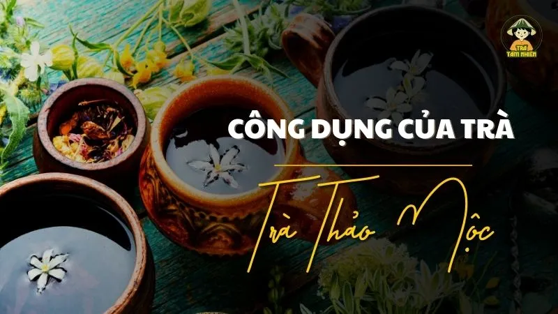 Công dụng của trà thảo mộc