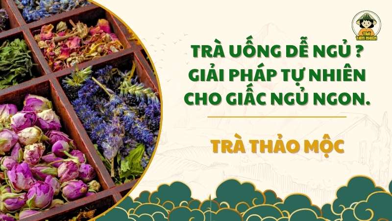 trà uống dễ ngủ