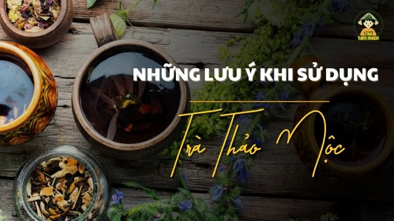 Những lưu ý khi sử dụng trà thảo mộc