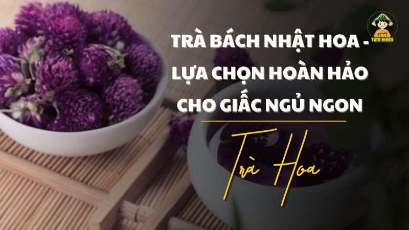 trà uống dễ ngủ