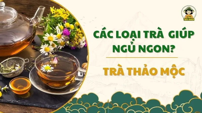 Các loại trà thảo mộc giúp ngủ ngon