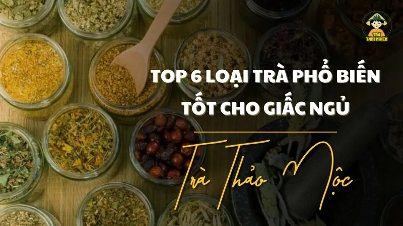 Top 6 loại trà phổ biến tốt cho giấc ngủ