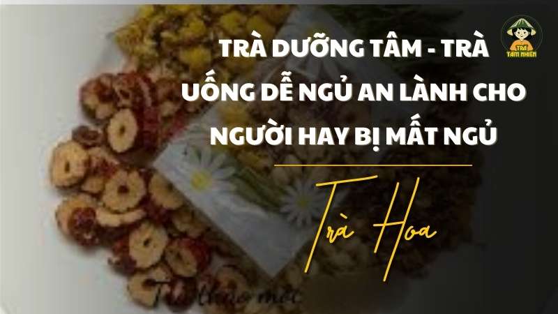 trà uống dễ ngủ