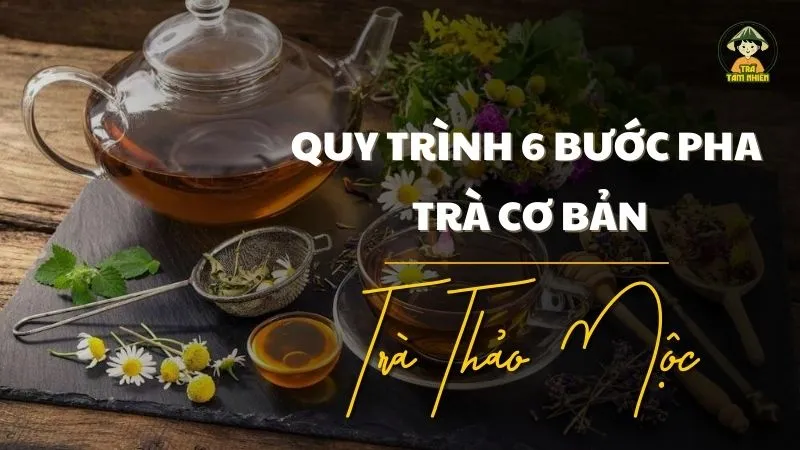 Quy trình 6 bước pha trà cơ bản