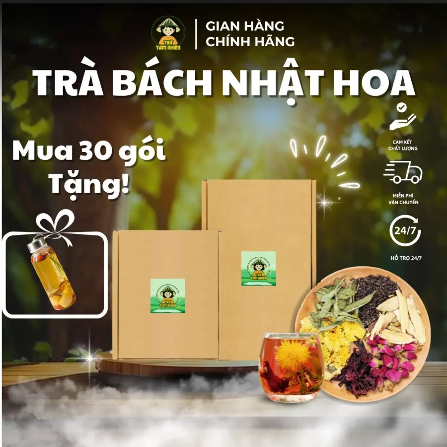 trà bách nhật hoa