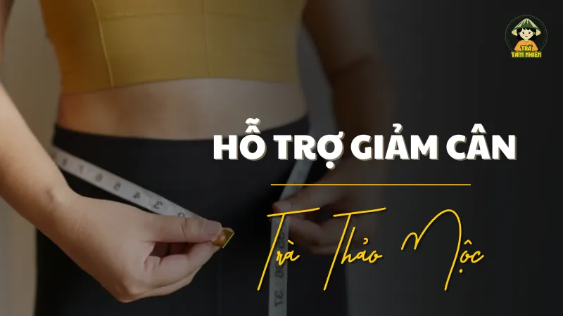 ho-tro-giam-can