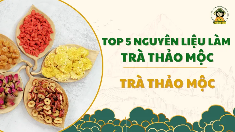 Top 5 nguyên liệu làm trà thảo mộc