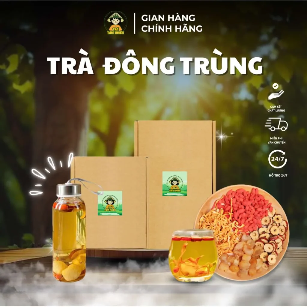 trà đông trùng