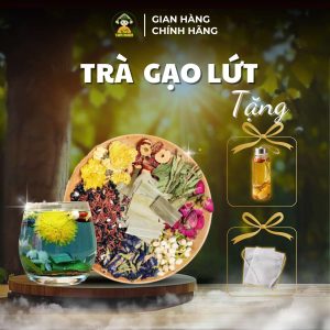 TRA GAO LUT 1