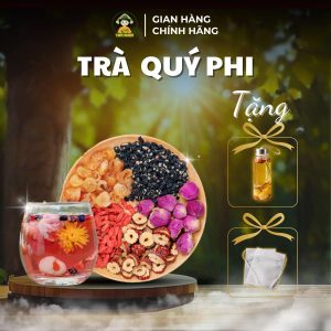 TRA QUY PHI