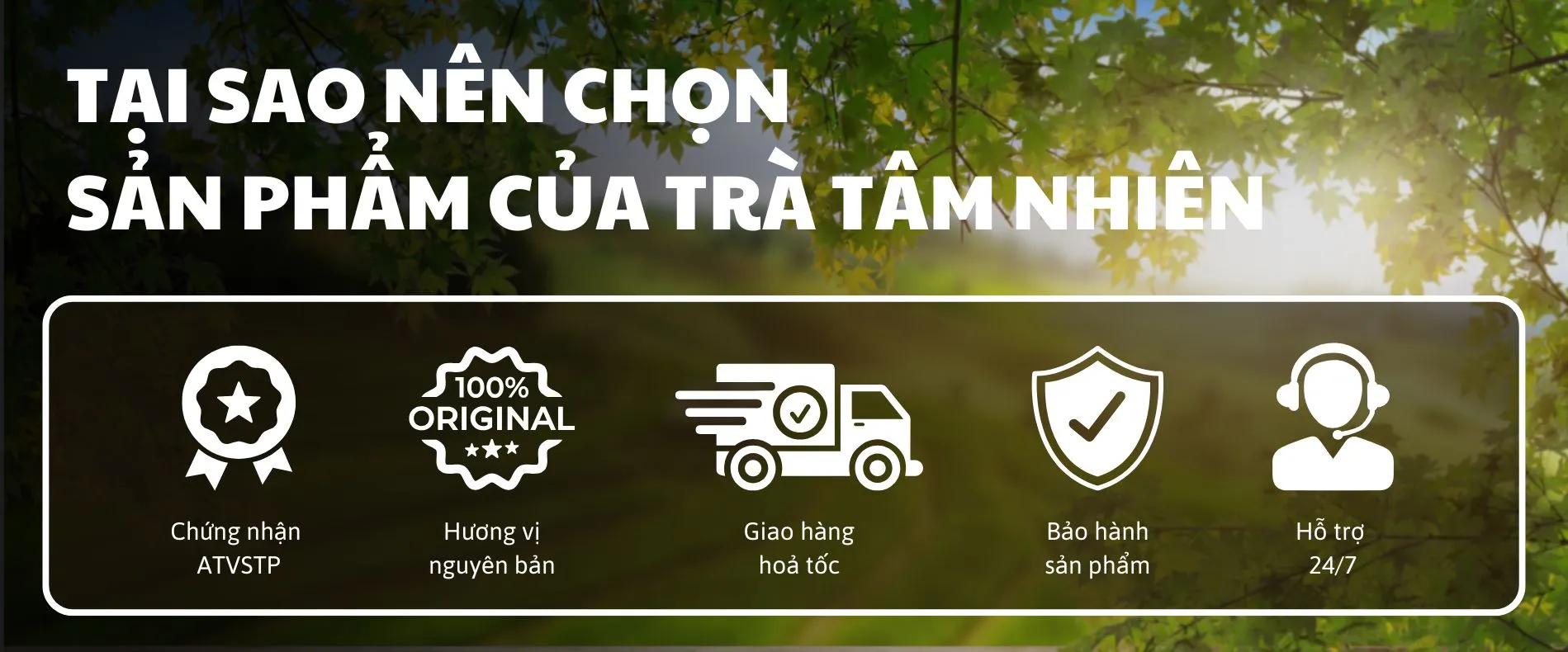 Tại sao chọn sản phẩm của  Trà Tâm Nhiên