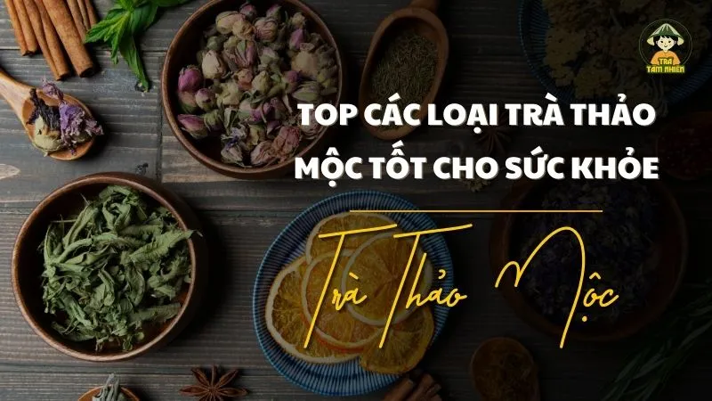 top các loại trà thảo mộc tốt cho sức khoẻ 