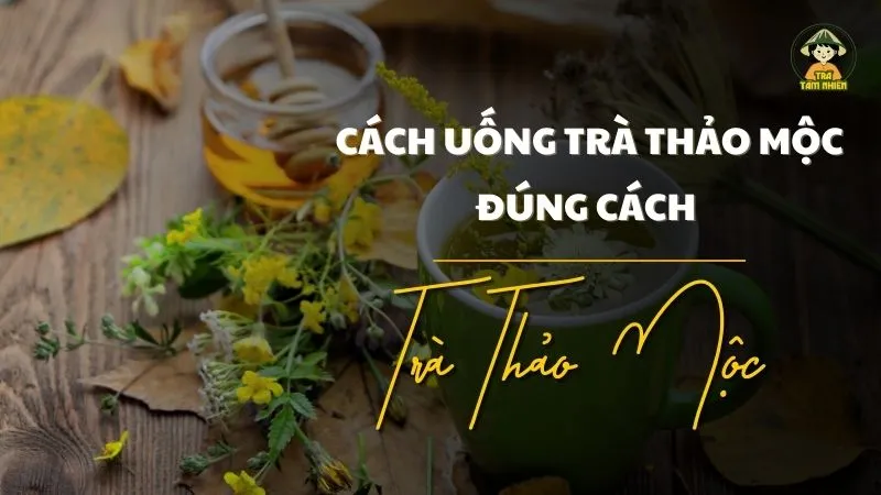 cách uống trà thảo mộc đúng cách