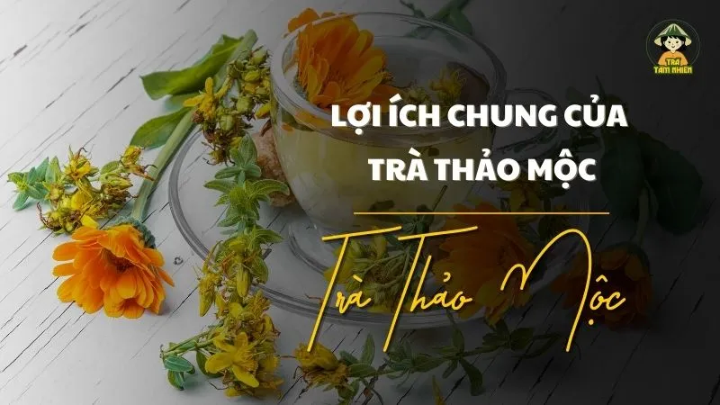 lợi ích chung của trà thảo mộc 