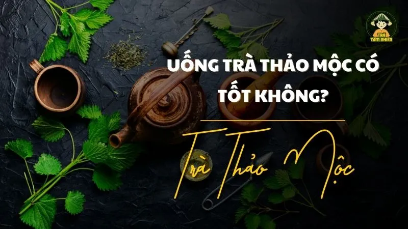 lợi ích khi uống trà thảo mộc