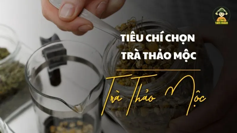 tiêu chí khi chọn trà thảo mộc 