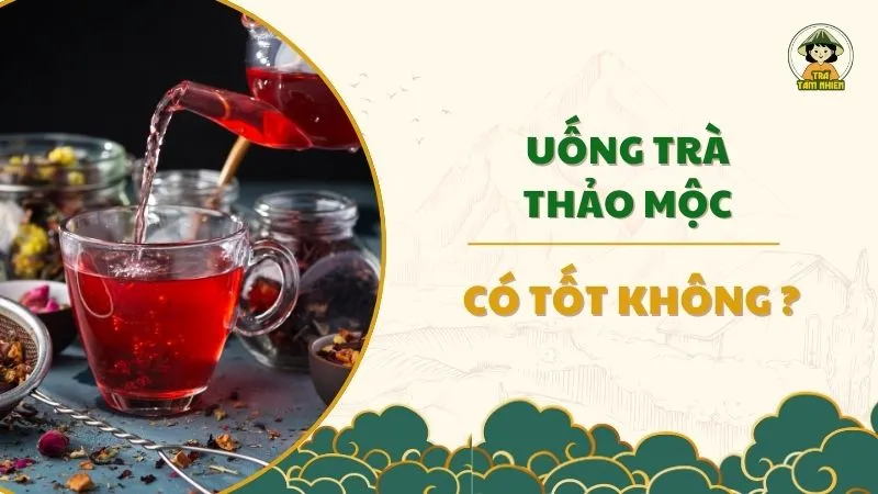 uống trà thảo mộc có tốt không