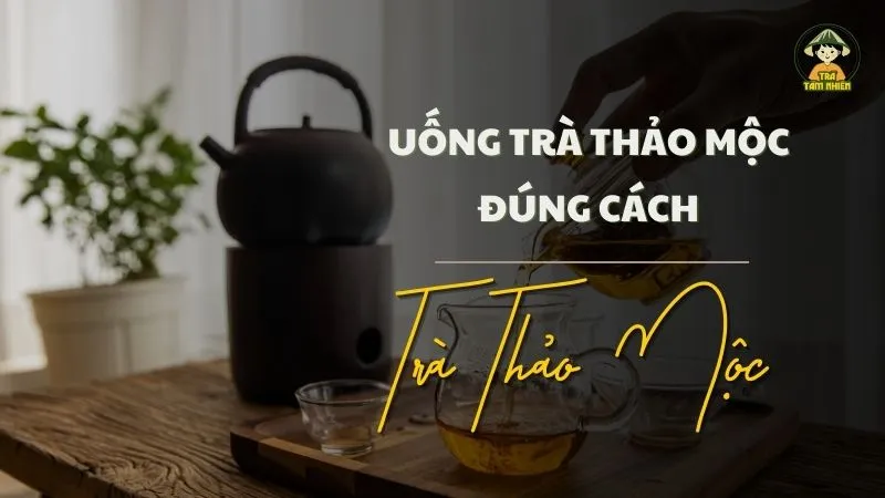 uống trà thảo mộc đúng cách