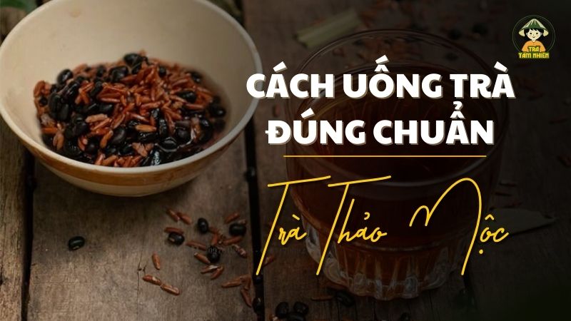 cách uống trà gạo lứt đúng chuẩn