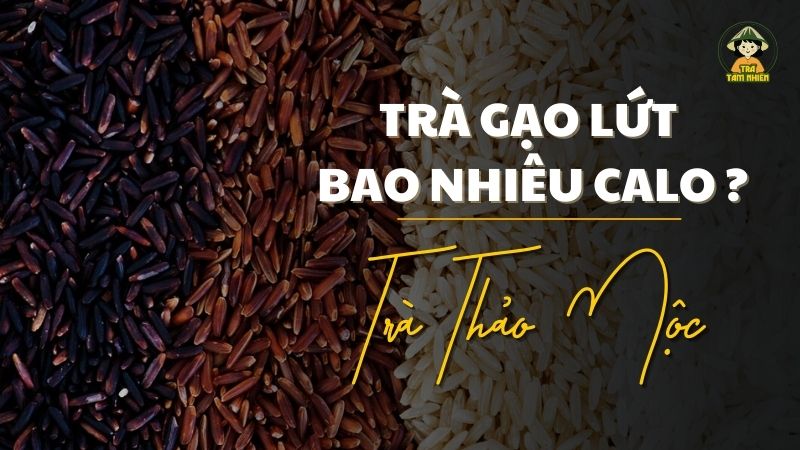 trà gạo lứt bao nhiêu calo