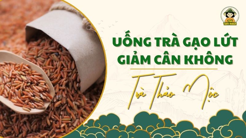 uống trà gạo lứt giúp giảm cân không