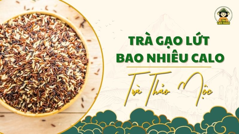 trà gạo lứt bao nhiêu calo
