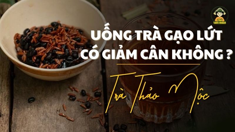 uống trà gạo lứt có giảm cân không