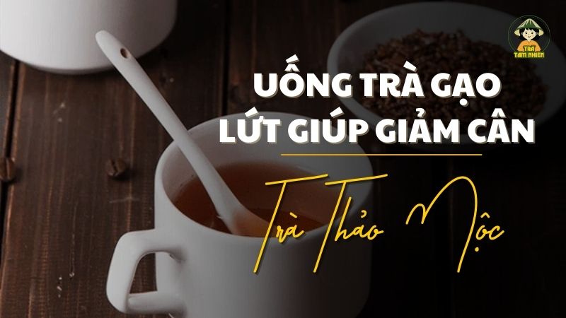 uống trà gạo lứt có giúp giảm cân không