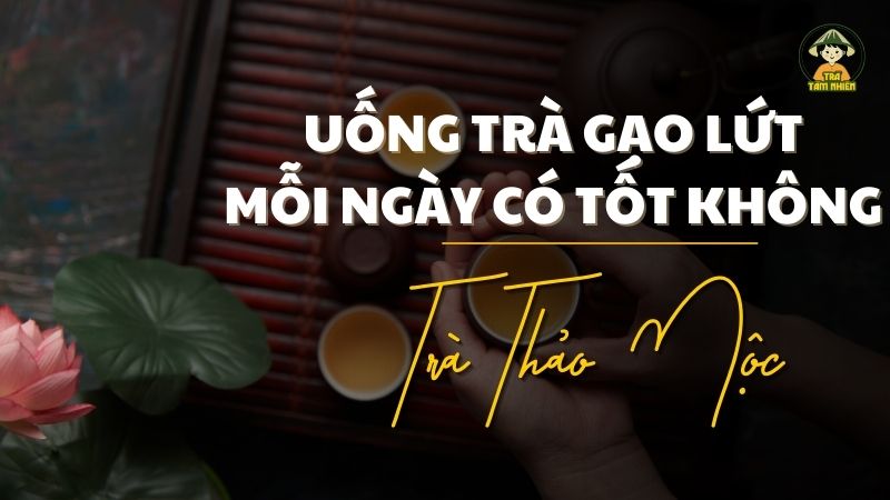 uống trà gạo lứt mỗi ngày tốt không