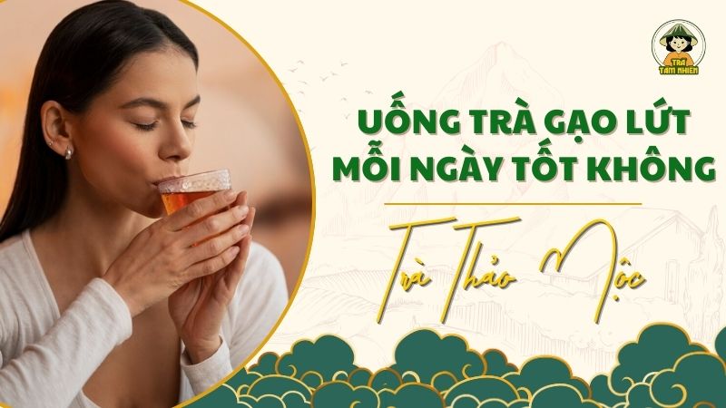 uống trà gạo lứt tốt không